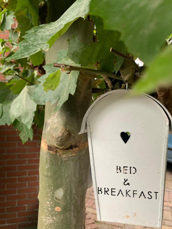 Bed & Breakfast 
